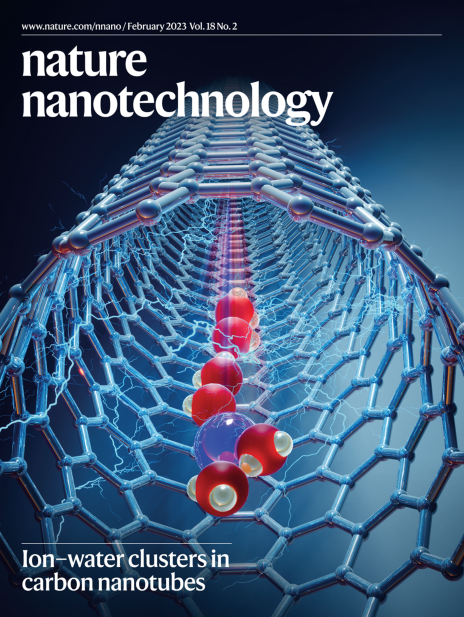 Subscribe to Nature Nanotechnology