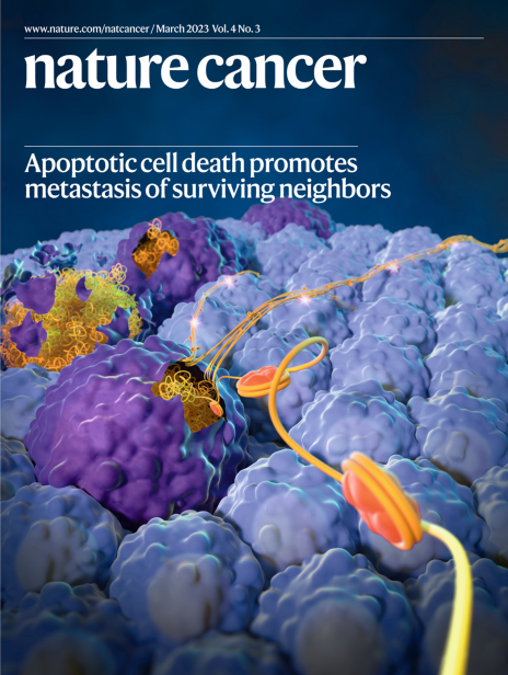 Subscribe to Nature Cancer