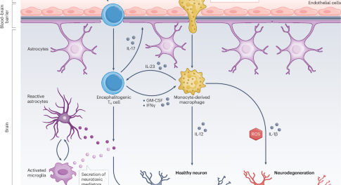 research & reviews a journal of drug design & discovery research & reviews a journal of drug design & discovery