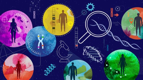 Complex Trait Genetics: From Association to Function
