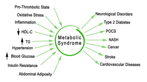 Metabolic syndrome and cancer