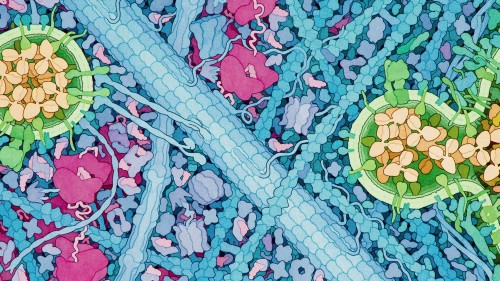PDB 50th Anniversary: celebrating the future of structural biology