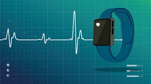 Leveraging Wearable Tech and Computer Vision for Health and Behavior Insights