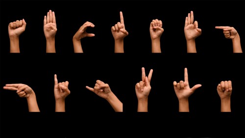 Stuck Sign Language Sign Languages: acquisition, application and transmission