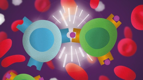 t-cell-milestones-cover-1200x675-8fbd46c8a1fceaab9ebd79b7c27d6d90.jpg