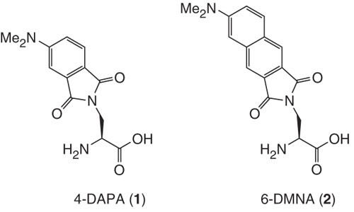 glutathione a peptide Manual Solid Phase Synthesis of Analogs Optimal Health Systems Essential Glutathione