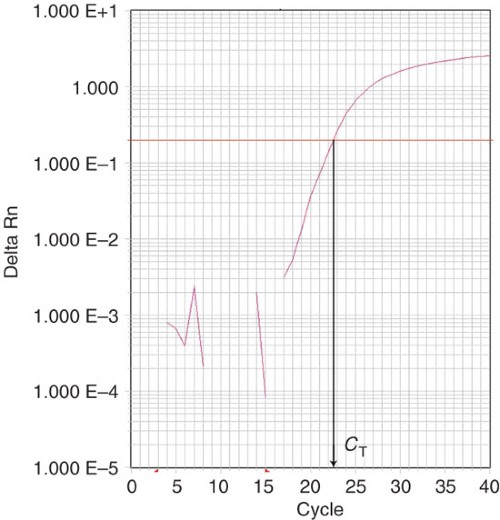 Real-time PCR output, calculation of C T.