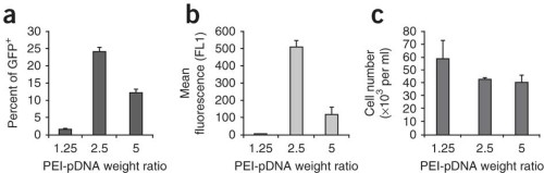 Effect of PEI-to-pDNA weight ratios used in complex formation on transfection efficiency.