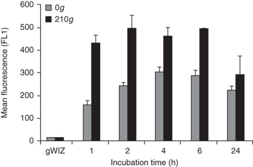 Effect of centrifugation and incubation time on transfection efficiency.