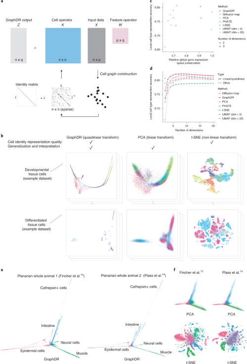A linearly interpretable data representation method that captures the structure of single-cell data while preserving interpretability and transferability.