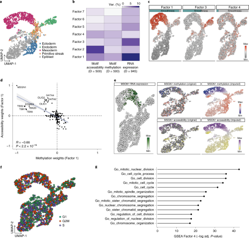 Application to a single-cell multi-omics dataset from early mouse development.