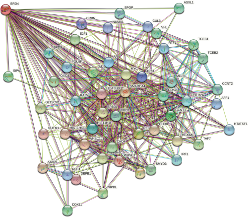 A protein interaction network for BRD4 generated by the String database 14 .