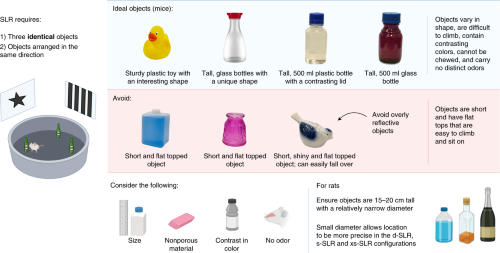 Objects used in SLR tests, showing examples of objects that we have previously used successfully with mice.
