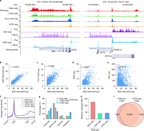 Comparison between KAS-seq and other transcriptional activity–profiling methods.
