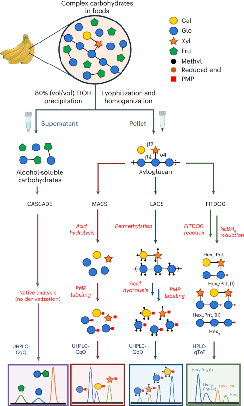 Quantitation of Glutathione, Glutathione Disulphide, and Protein-Glutathione Mixed Disulphides by High-Performance Liquid Chromatography-Tandem Mass Spectrometry