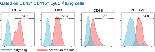 Ideal markers to determine activation status of IMMsInflammatory monocytes-macrophages (IMMs) .