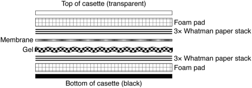 Side-view diagram of transfer component stack within transfer cassette.