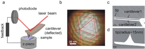 AFMAtomic force microscope (AFM) setup.