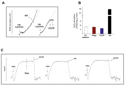 collin white glutathione hplc Assessment of Homeostasis Igennus Super B-Complex, 60