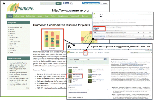 Ensembl Plants: Integrating Tools for Visualizing, Mining, and Analyzing  Plant Genomic Data | Springer Nature Experiments