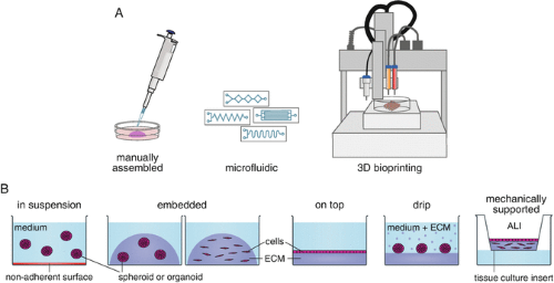 3D Cell Culture Protocols and Methods | Springer Nature Experiments