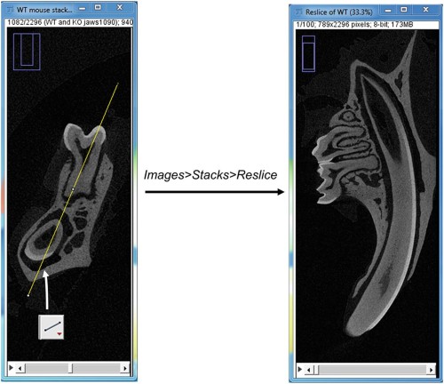 schenider 2012 imagej software schenider 2012 imagej software