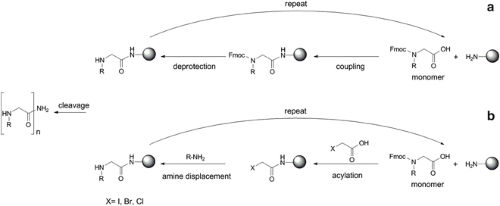 glutathione transferease isoforms Glutathione S-Transferase from equine liver