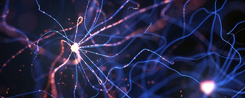 verbundene Neuronen