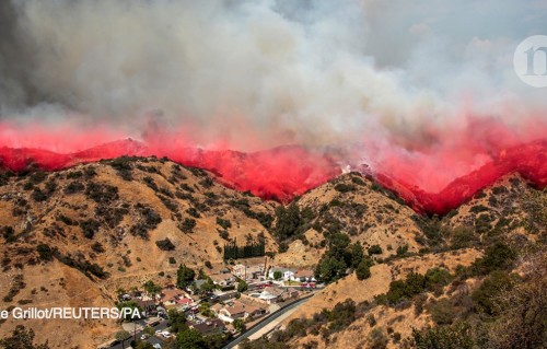 In the line of fire