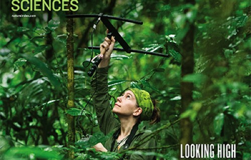 A guide to the Nature Index