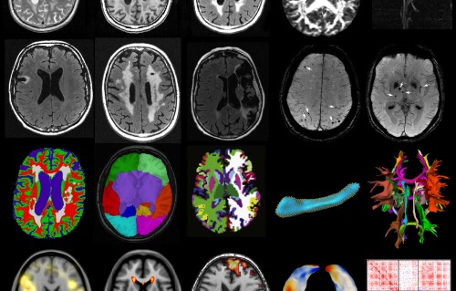 Fundamental and applied scientists, engineers, doctors and ethicists collaborate to improve health
