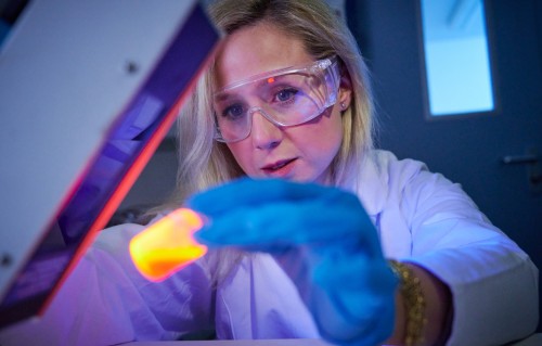 Investment in the next generation boosts science in Hamburg 