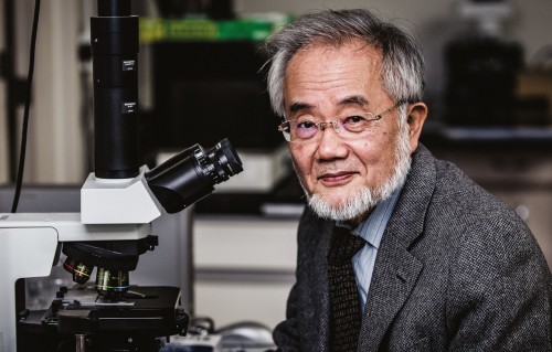 Profile: Yoshinori Ohsumi: The rise and rise of a biology superstar