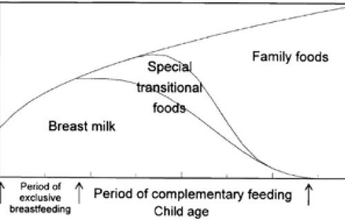 Nutrient Density In Complementary Feeding Of Infants And