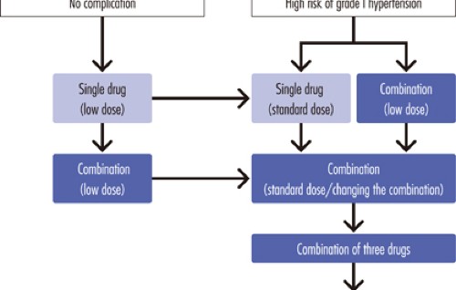 antihypertensive drugs in diabetic patients