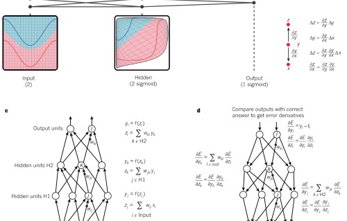 Deep Learning Nature