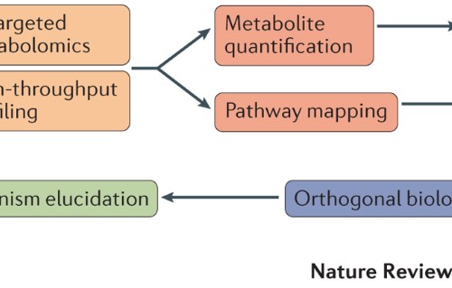 Metabolomics: beyond biomarkers and towards mechanisms | Nature Reviews  Molecular Cell Biology