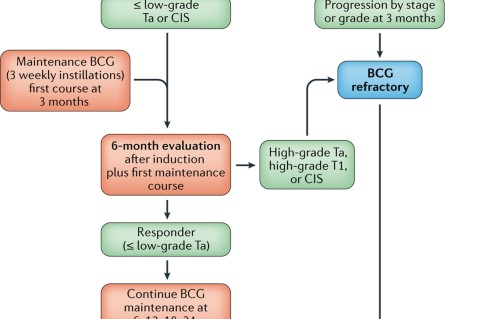 Bladder cancer