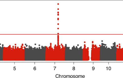 CYP3A7*1C allele: linking premenopausal oestrone and progesterone levels  with risk of hormone receptor-positive breast cancers | British Journal of  Cancer