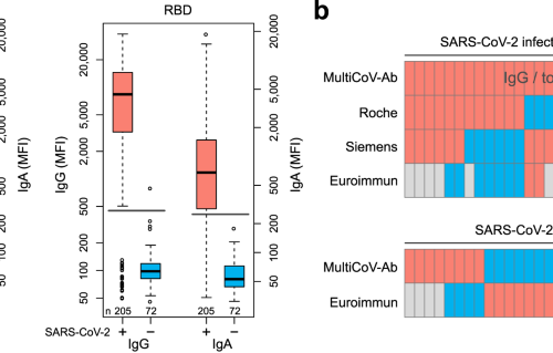 Exploring Beyond Clinical Routine Sars Cov 2 Serology Using Multicov Ab To Evaluate Endemic Coronavirus Cross Reactivity Nature Communications