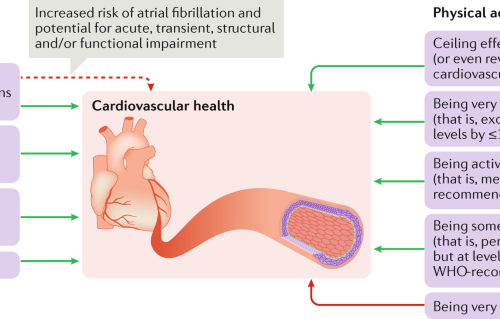 disease benefits the extend beyond of prevention exercise of disease Prevention cardiovascular