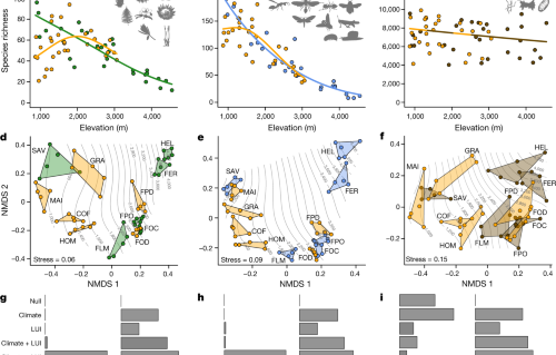 Climate Land Use Interactions Shape Tropical Mountain Biodiversity And Ecosystem Functions Nature