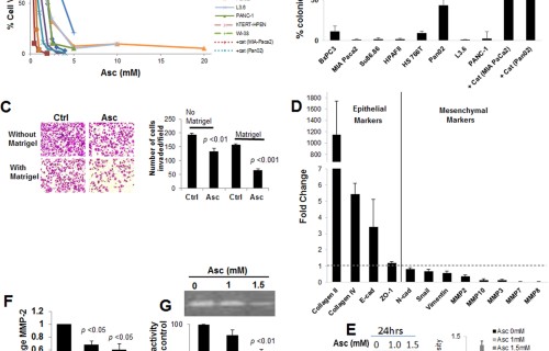 High Dose Parenteral Ascorbate Inhibited Pancreatic Cancer Growth And Metastasis Mechanisms And A Phase I Iia Study Scientific Reports