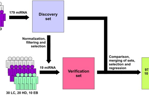 Profiling Of 179 Mirna Expression In Blood Plasma Of Lung Cancer Patients And Cancer Free Individuals Scientific Reports