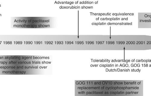 Chemotherapy In Ovarian Cancer - 