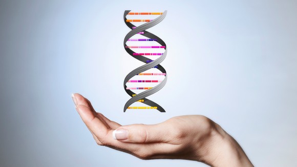 Hand holding a DNA double helix