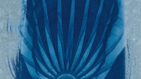 A cyanotype of a crystal vase.