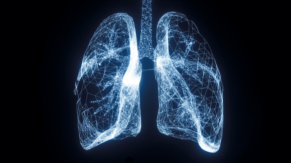 pair of lungs in x-ray format