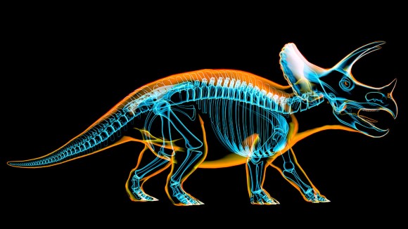 Depiction of a dinosaur, Triceratops, like an x-ray showing the bones