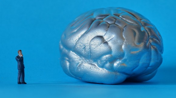 A small figure stands looking at a silver brain which is larger than the figure, on a blue background.